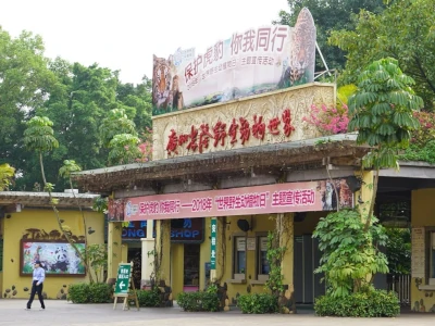 中港Call車-香港去番禺