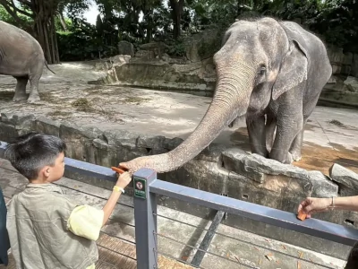 深圳野生動物園Call車