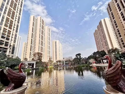 香港去中山Call車叫車服務